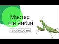 Мастер Ши Янбин - Танланцюань