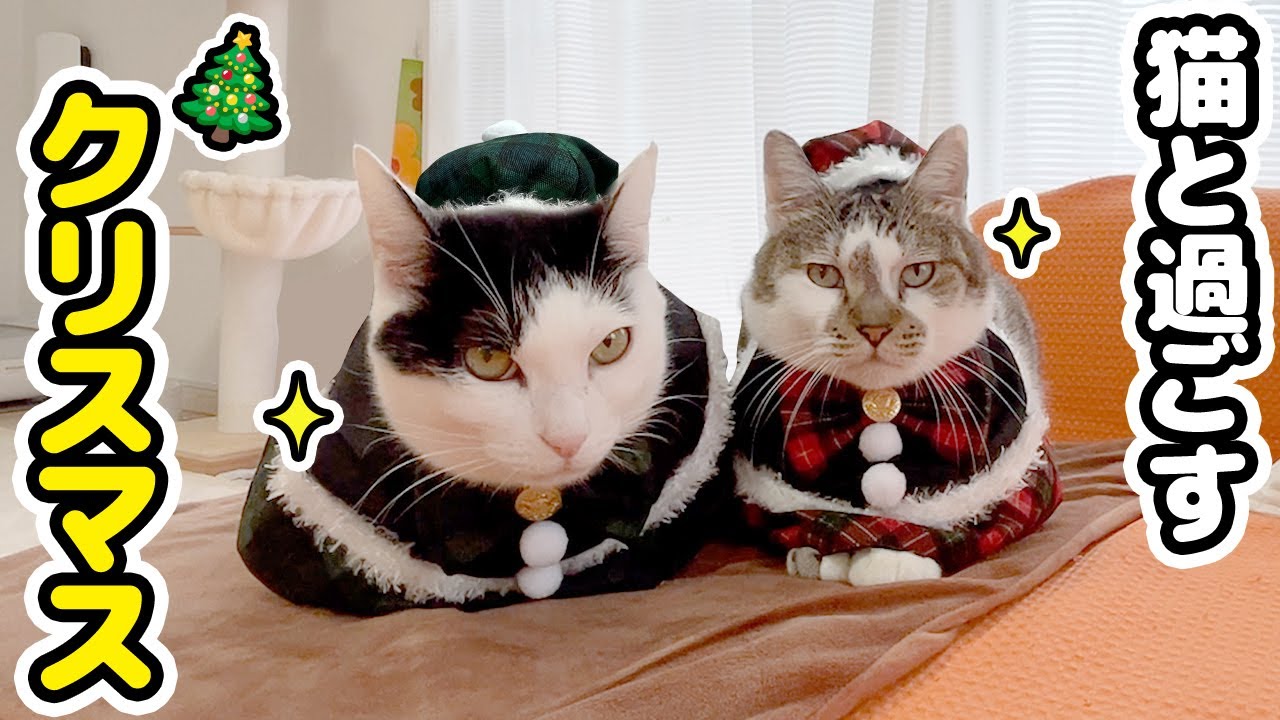 inuinu様専『クリスマス サンタリース』×4 『ピアノ枠 猫さん』×3 inuinu様専『クリスマス サンタリース』×4 『ピアノ枠 猫さん』×3