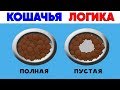 Лютые приколы, мемы. КОШАЧЬЯ ЛОГИКА . Лучшие мемы