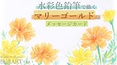 ハイビスカスの絵 簡単に書ける花の絵 可愛いイラストの書き方 Youtube