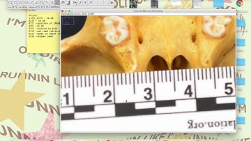 ImageJ tutorial video