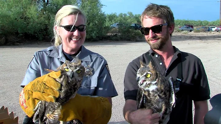 Come Work for Arizona Game and Fish!