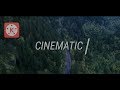 CINEMATIC INTRO SLIDE TEXT LIKE SAM KOLDER || KINEMASTER TUTORIAL