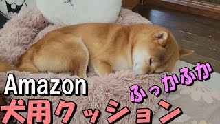 「ふっかふか」のAmazon犬用ベッド・クッション（オールシーズン対応）