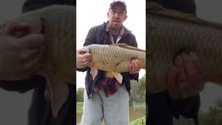 Bank fishing for carp , roadside!