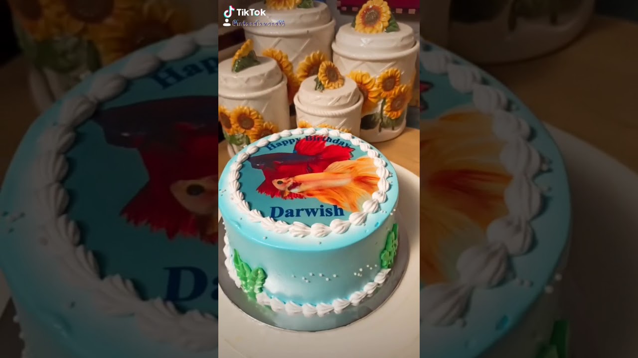Deco Cake Ikan Laga Youtube Deco Cake Ikan Laga Youtube