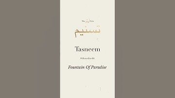 Tasneem Name Status With Best Music Video 🎼🎵