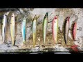 Pool test: Which jerkbait is best?