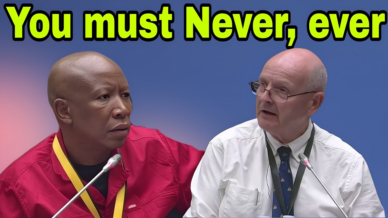 Julius Malema tears apart Paul O'Sullivan Credibility. You must never ever.