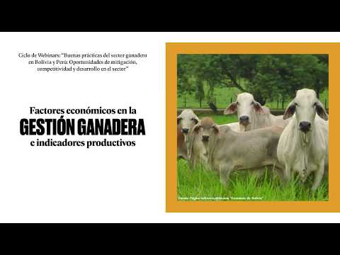 Video Webinar Bolivia Peru Factores Economicos En La Gestion Ganadera E Indicadores Productivos Practical Action En America Latina