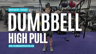Dumbbell High Pull – How to Perform It Correctly | Trevor Kashey Nutrition