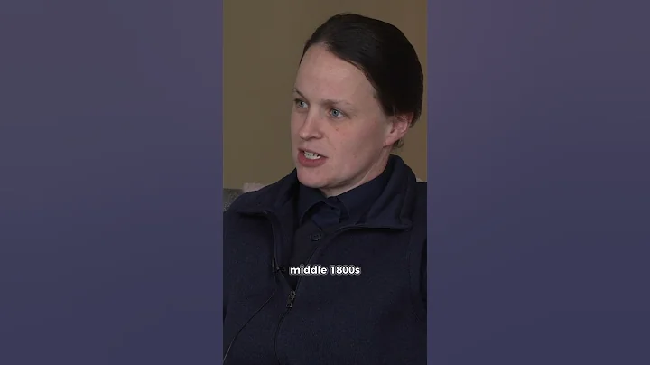 Origins of Feminism #feminism #feminist #equality #justice #oppression