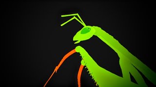 Mantis Download - Dc2 Drawing Cartoons 2