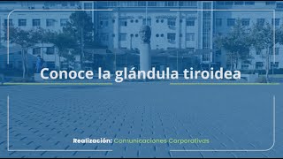 Conoce la glándula tiroidea