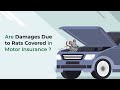 Are damages due to rat covered in motor insurance  motor insurance