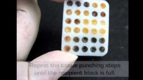 Manual tissue microarrayer.avi