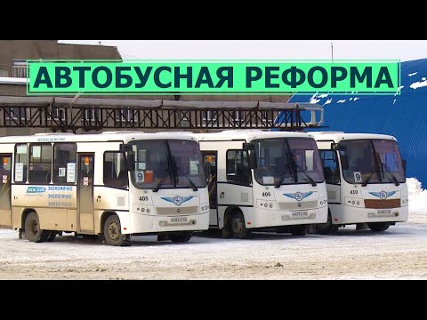 Реформа общественного транспорта: адаптивные светофоры, выделенные полосы и новые маршруты
