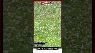 PING-PONG AND GOL BALL HAIL