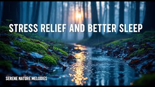 Healing Night Nature Ambience with Soft Rainfall for Stress Relief and Restful Sleep Tonight screenshot 2