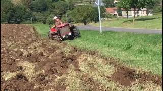 Aratura Carraro 7800