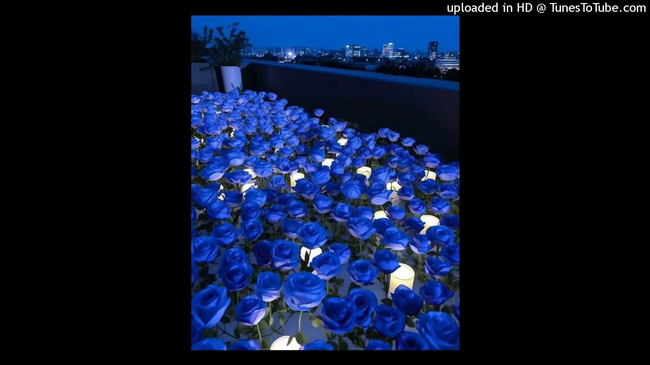 *Free* Izaya Tiji x Interlude Type BEAT - 'Fantasy1'