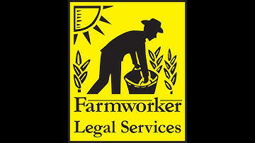 Understanding Labor Trafficking in Michigan and Tips for Youth