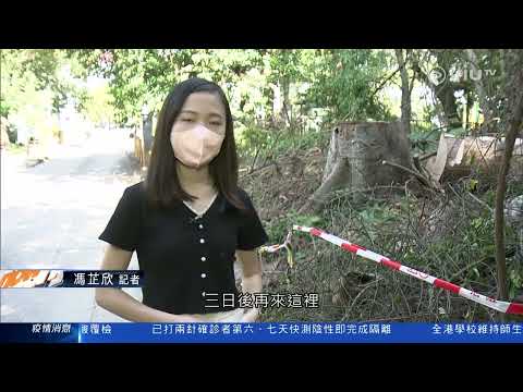 ViuTV 深宵新聞 2022 12 08 0252