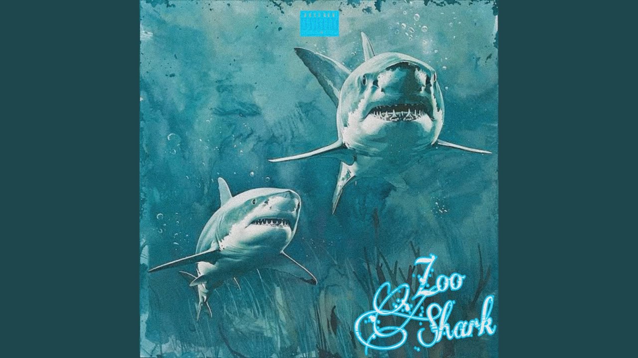 Guarda Shark su YouTube Guarda Shark su YouTube