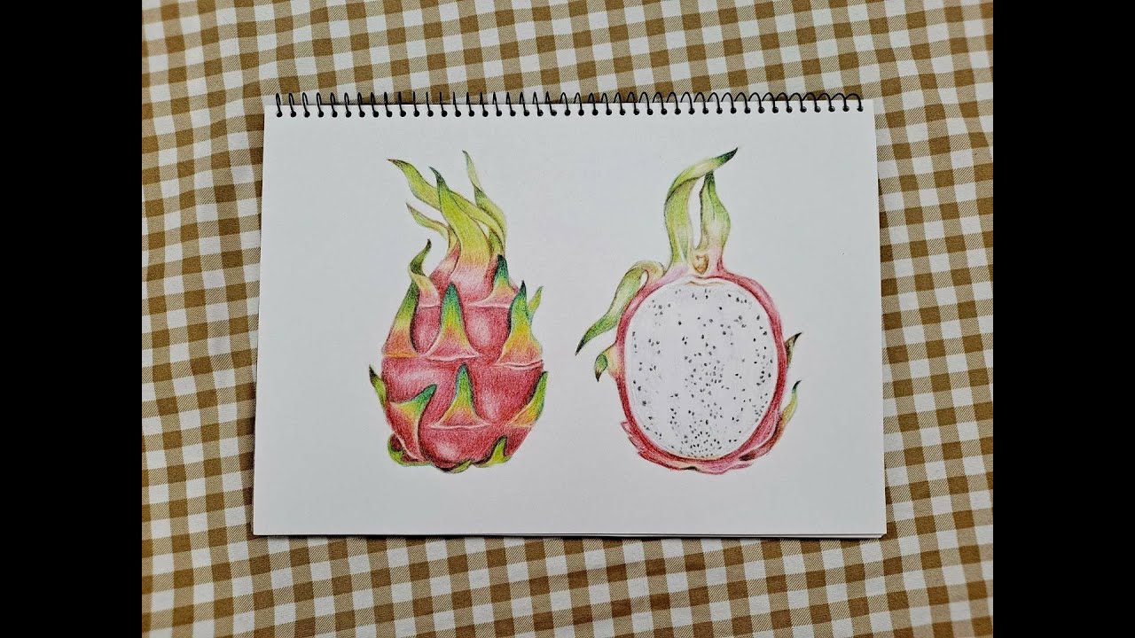 ️ Draw Some Dragon Fruits (ii) 今天畫火龍果之二 | Colored Pencils 色鉛筆 - YouTube