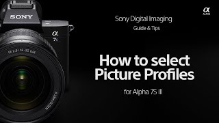 Sony | How To's | How to Select a Picture Profile for your Sony Alpha 7S III