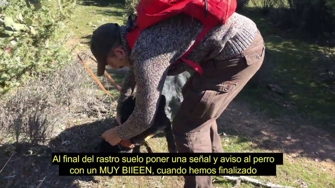 Capitulo 16  Rastro de sangre  Fase3