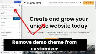 Details How To Remove 'Web Agency Demo 1' Template In Neve Theme | Remove Demo Template from Customizer Guide