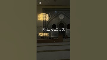 سورة القارعة | الشيخ محمد شعبان أفندي #القرآن_الكريم #اكسبلور