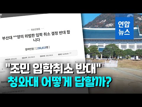 &amp;quot;조민 입학취소는 인권탄압&amp;quot; 국민청원…靑 답변에 시선집중  / 연합뉴스 (Yonhapnews)