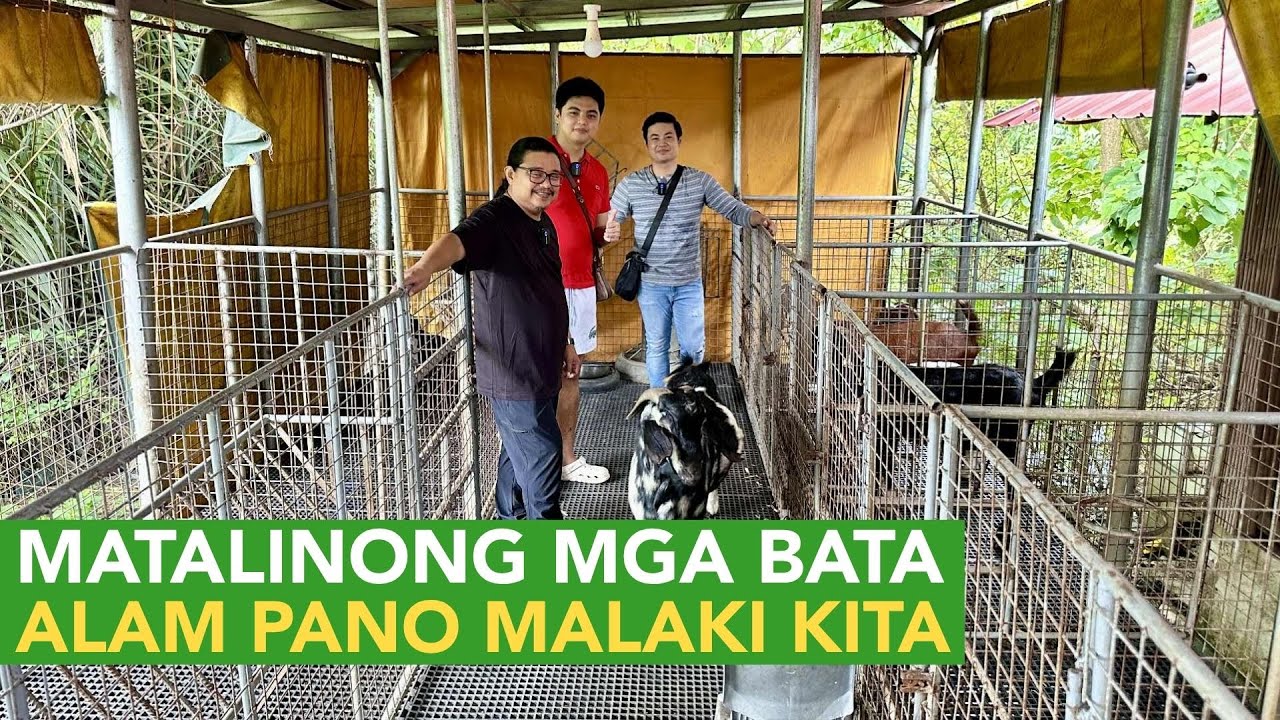 Matalinong mga Bata! Kelan Magbebenta at Kelan mag Hold para Malaki ang Kita