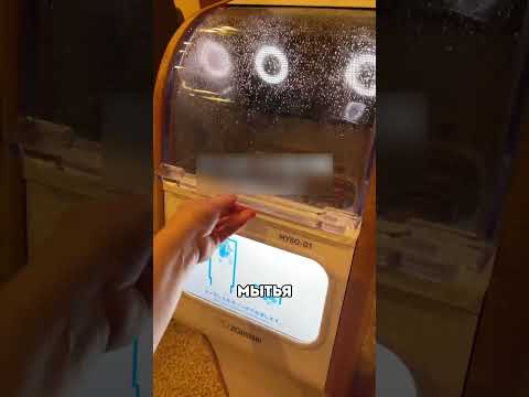 Япония живет в 2050 😯