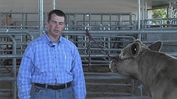 Jason Cleere - BQA - Quantity limits for injections