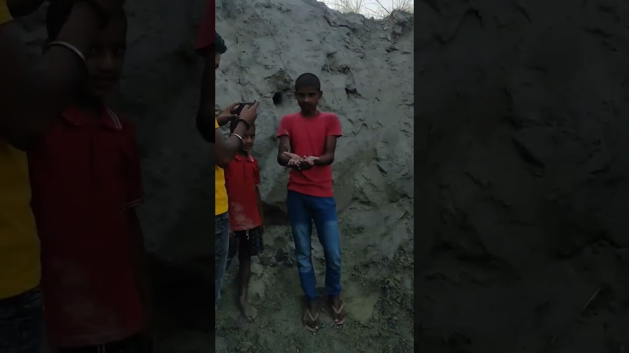 ||Bird baby rescue|| 