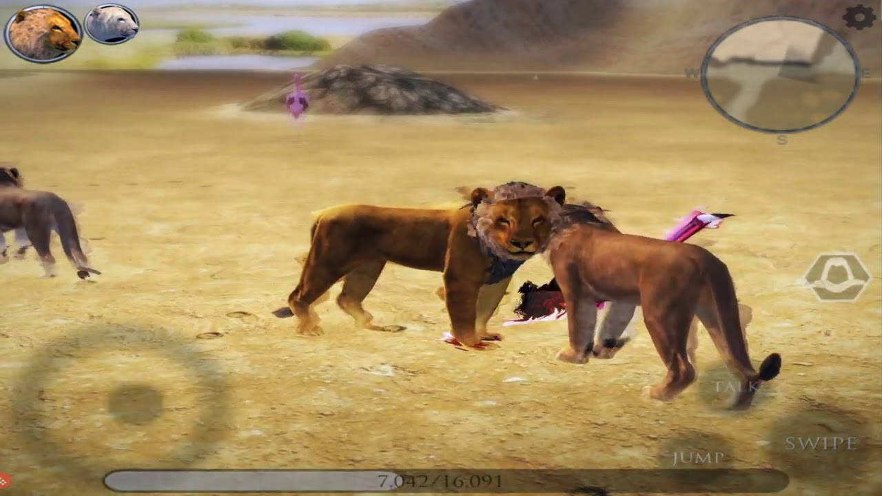 Ultimate Lion Simulator 2, Lion VS Elephant, leopard, Cheetah