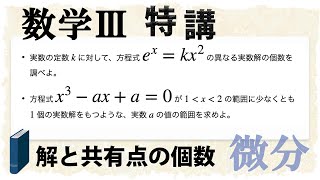 実数解の個数をグラフの共有点で考える、とは？ (数学III特講・微分/グラフ②)