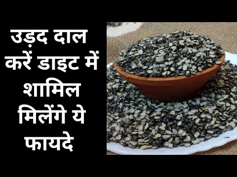 Urad Dal Health Benefits: उड़द दाल को डाइट में शामिल