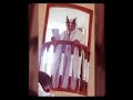 نعمسيدي محمد الصالح قنعوبه نعمسيدي محمد الصالح قنعوبه