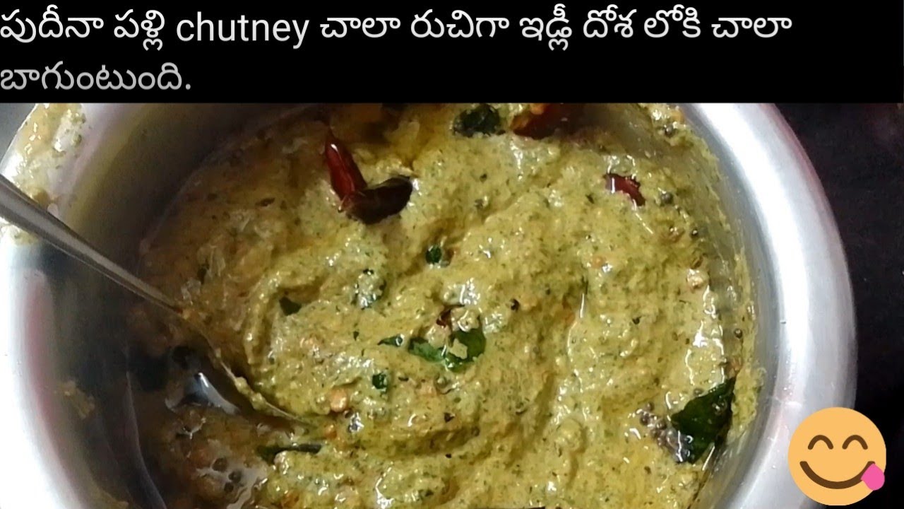 pudina palli chutney recipe in telugupudina pachadi for idlimint