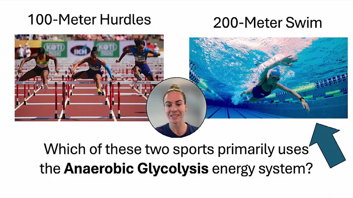 Energy Systems in Sports: Understanding Their Role in Performance