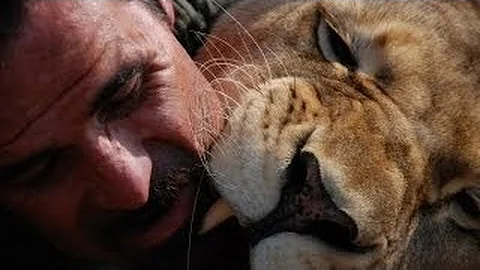 Kevin et les lions 2/2