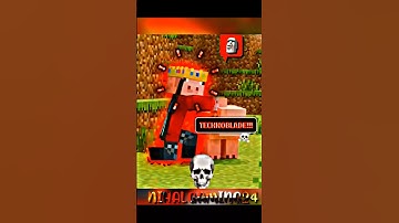 Minecraft Technoblade edit...