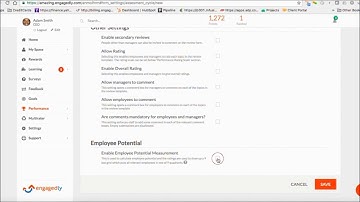 SettingUpPerformanceReviewCycleFinal