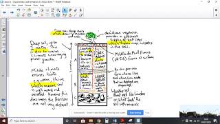 Tutorial that explains the formation of a Brown Earth Soil 1