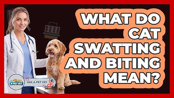 What Do Cat Swatting And Biting Mean? - Ask A Pet Vet