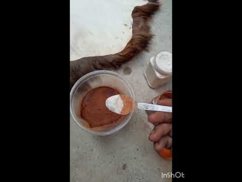 اوچمک پوستین دوزی رنگ آمیزی پوست گوسفندی